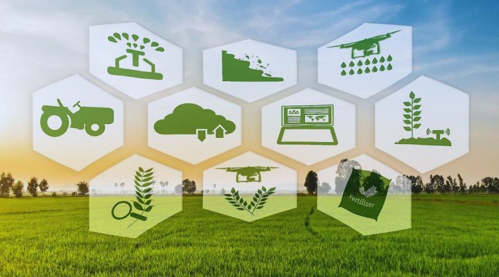 Why Ground-Level Data Is the Missing Link in Climate-Smart Agriculture