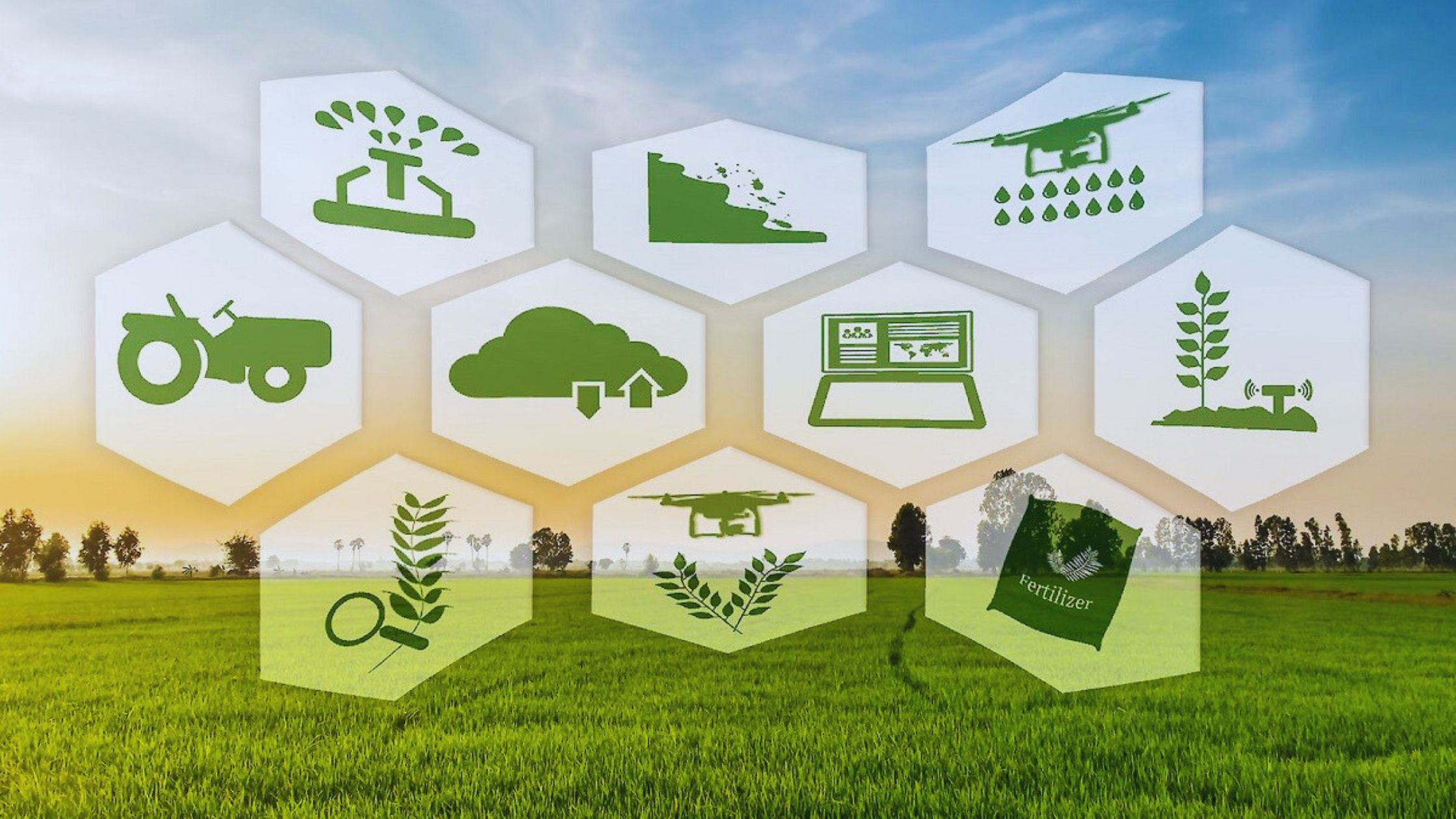 Why Ground-Level Data Is the Missing Link in Climate-Smart Agriculture